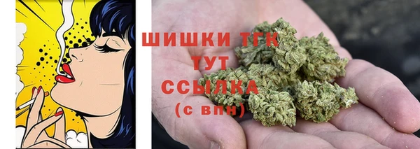 дмт Армянск