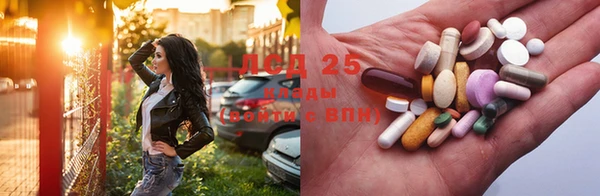 индика Баксан