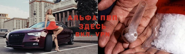 индика Аркадак