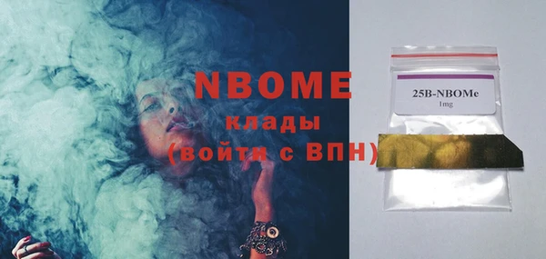 индика Баксан
