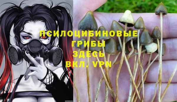 герыч Арсеньев