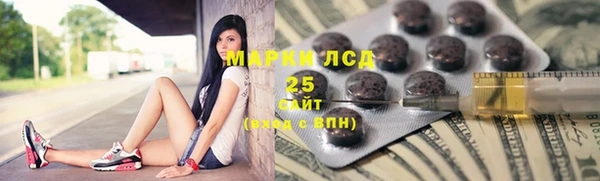 индика Аркадак