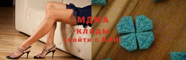 индика Аркадак