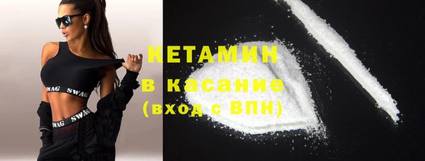 индика Аркадак