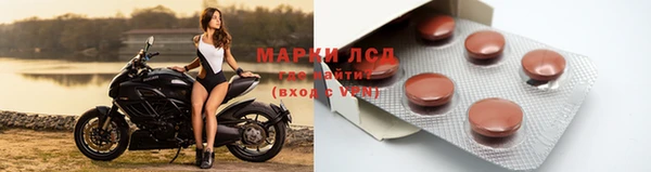 индика Аркадак