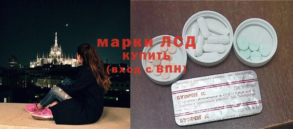 индика Баксан