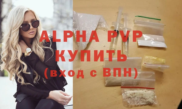 индика Баксан