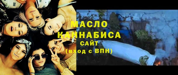 индика Аркадак