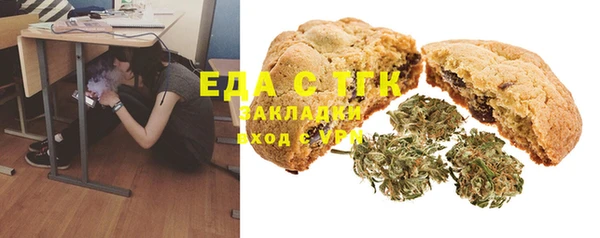 индика Аркадак